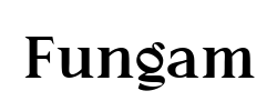 Fungam - logo